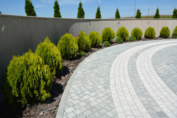 Best Decorative Driveway Paving in Texas City, TX